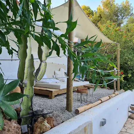 Private Mit Eigenem Pool Unter Palmen *