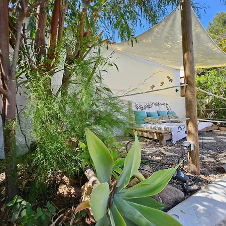 Private Mit Eigenem Pool Unter Palmen * Cala Llena